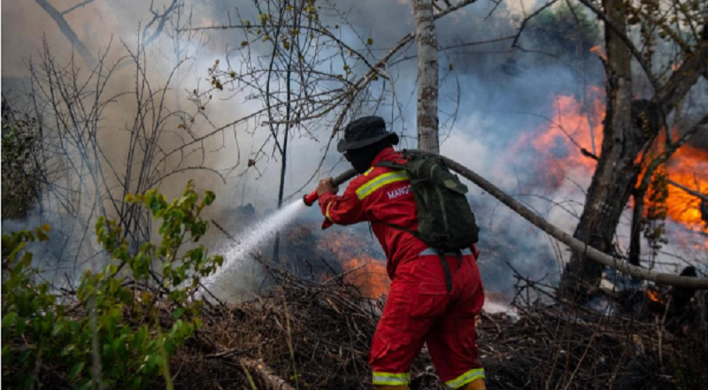 Asap akibat kebakaran hutan dan lahan (karhutla) kerap kali menjadi pemicu konflik antar negara tetangga.