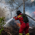 Asap akibat kebakaran hutan dan lahan (karhutla) kerap kali menjadi pemicu konflik antar negara tetangga.