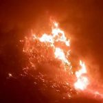 kebakaran-bromo-makin-meluas-1786196152369_169